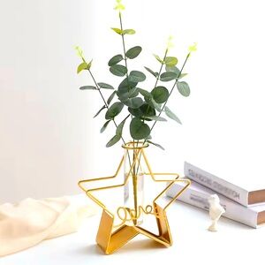 Hydroponic Vase for wall, table
